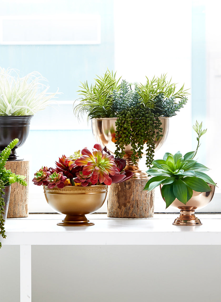 copper indoor plant pots Buy 7in Copper Flower Compote Online