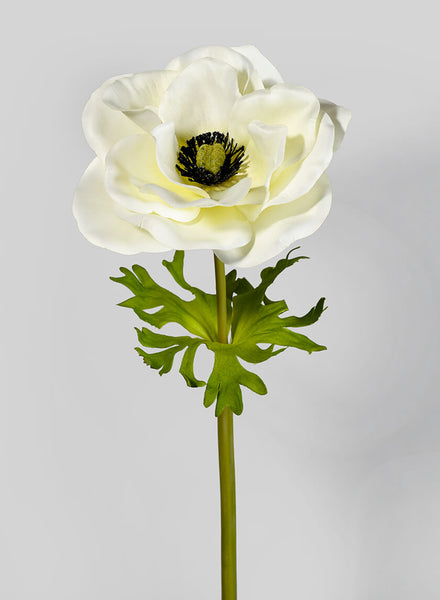 Cream Anemone Silk Wedding Flowers for Sale – Jamali Garden