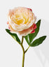 13in Long Cream Peony, Case of 12 Decor Jamali Garden