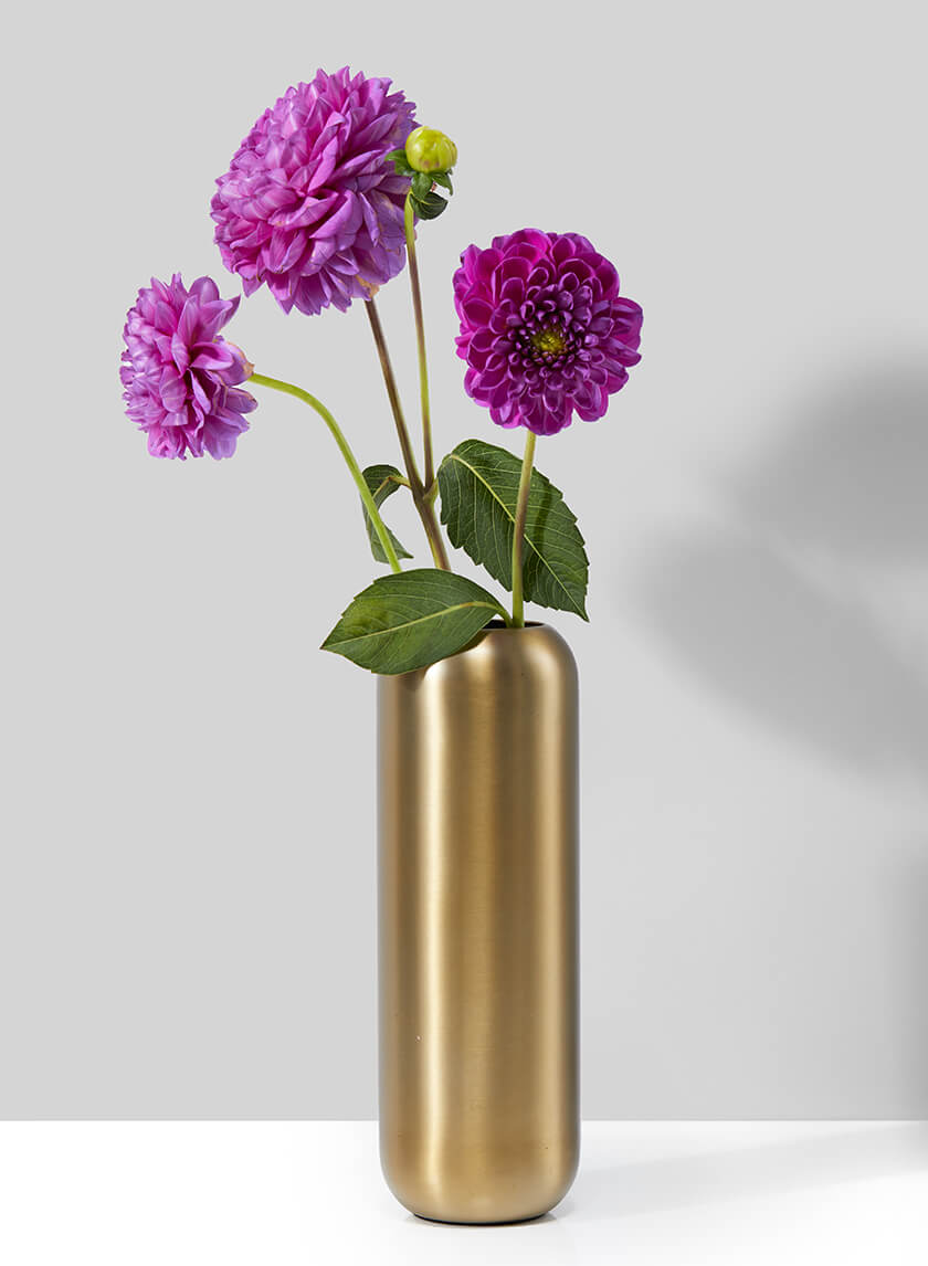 Bretagne Matte Gold Steel Capsule Vase Decor Jamali Garden