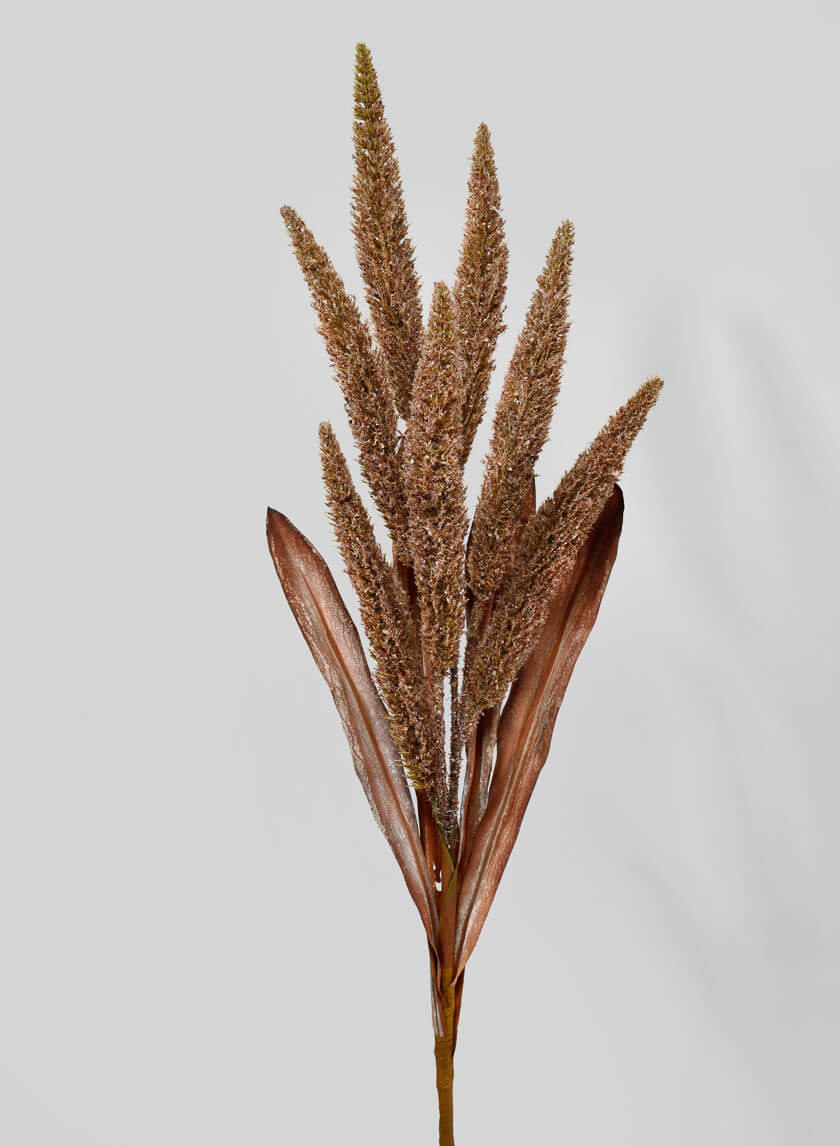 35in Dark Brown Amaranth Reed Decor Jamali Garden