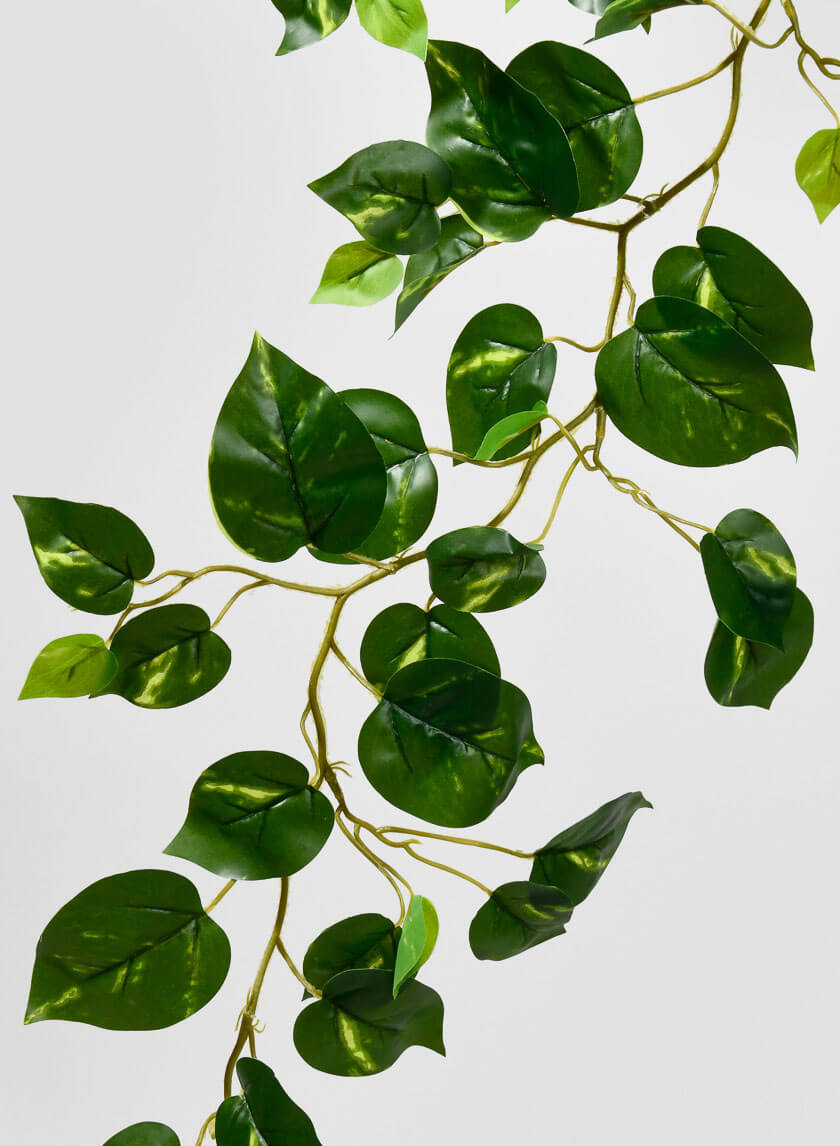 ivy vine indoor plant Devils Ivy Artificial Greenery Fake Foliage Wedding Display Plants – Jamali Garden