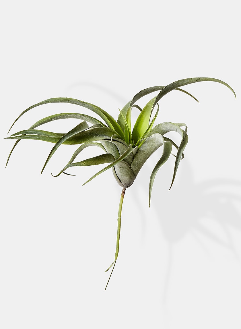 faux tillandsia succulent stem 12in Long Frosted Tillandsia