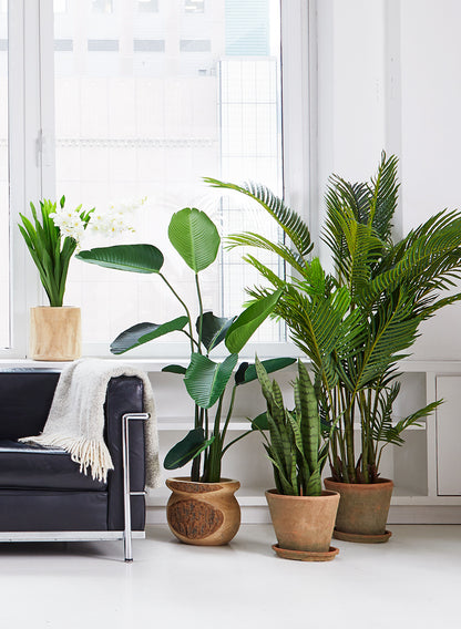 best indoor banana plant 57in Faux Banana Plants
