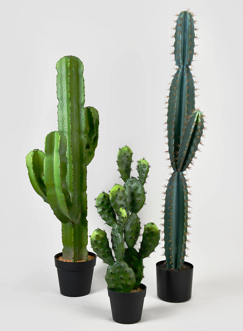 Moderne cactus in pot - grote kunstcactus/kunstmatig - hoogte 70cm - premium kunstplant - vetplanten - groene cactus kunst/kunstcactus/ decoratieve plant/decoratieve cactus Moderne cactus in pot - grote kunstcactus/kunstmatig - hoogte 70cm - premium kunstplant - vetplanten - groene cactus kunst/kunstcactus/ decoratieve plant/decoratieve cactus