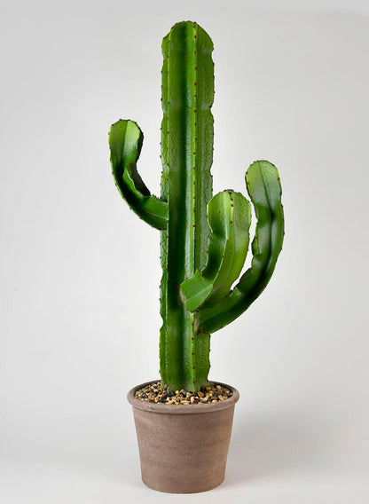 cactus plant pots for sale Candelabra Cactus In Black Pot Big Artificial Plants Home Decor – Jamali Garden