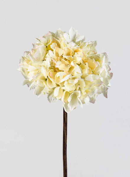 fake-cream-single-hydrangea-