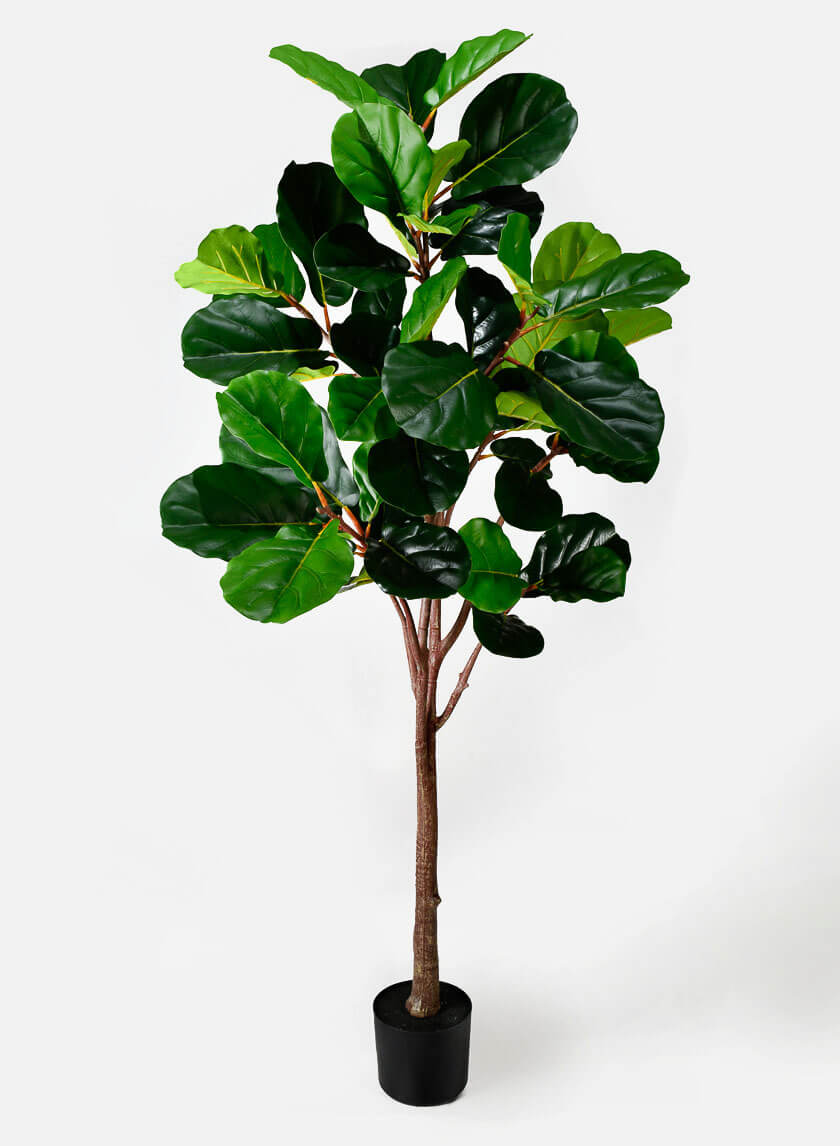realistic faux fiddle leaf fig tree Fake Fiddle Leaf Fig Artificial Plants for Window Retail Set Display – Jamali Garden