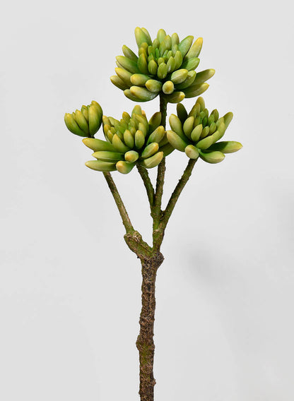 15in Long Finger Succulent Pick Decor Jamali Garden