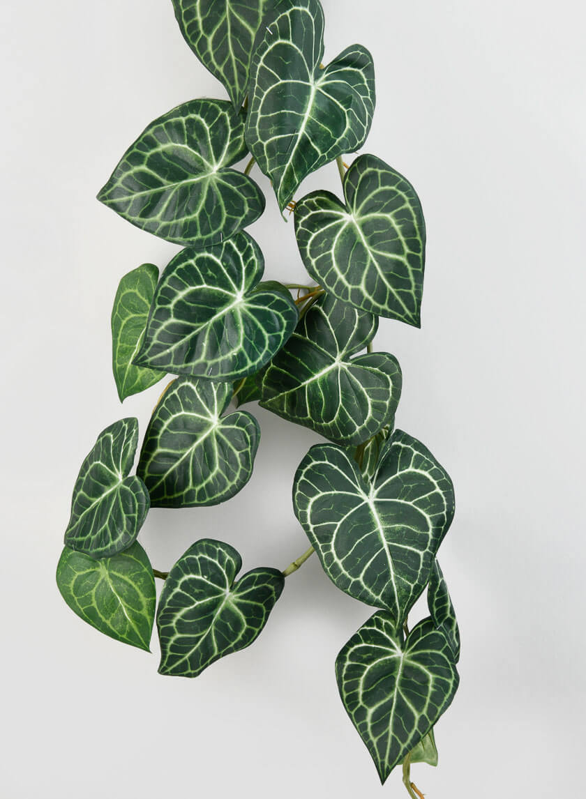 Best Artificial (TM) Rohdea 210 cm/2,1 m pianta di edera, Hanging Vine Best Artificial (TM) Rohdea 210 cm/2,1 m pianta di edera, Hanging Vine