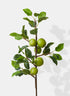 36in Long Green Apple Branch, Case of 6 Decor Jamali Garden