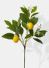 23in Long Baby Lemon Tree Pick, Case of 12 Decor Jamali Garden