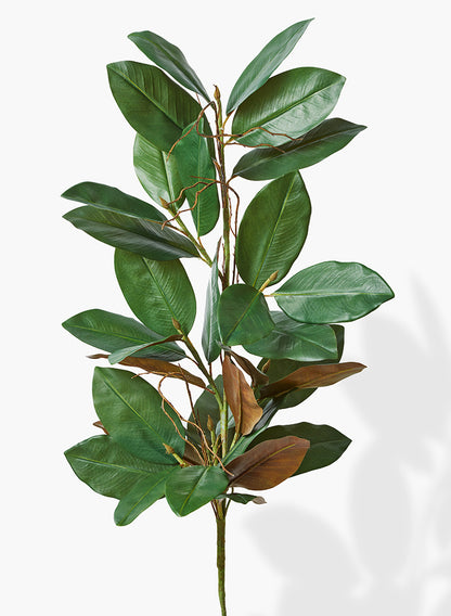 32in Long Magnolia Leaf Garland, Case of 6 Decor Jamali Garden