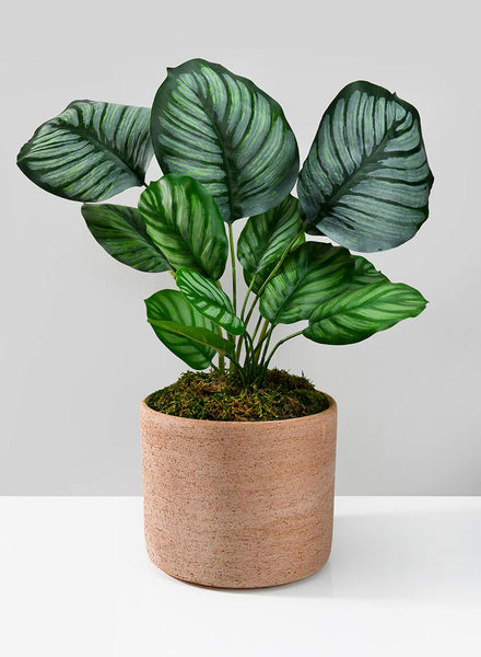 artificial prayer plant 18in Tall Potted Maranta Plant