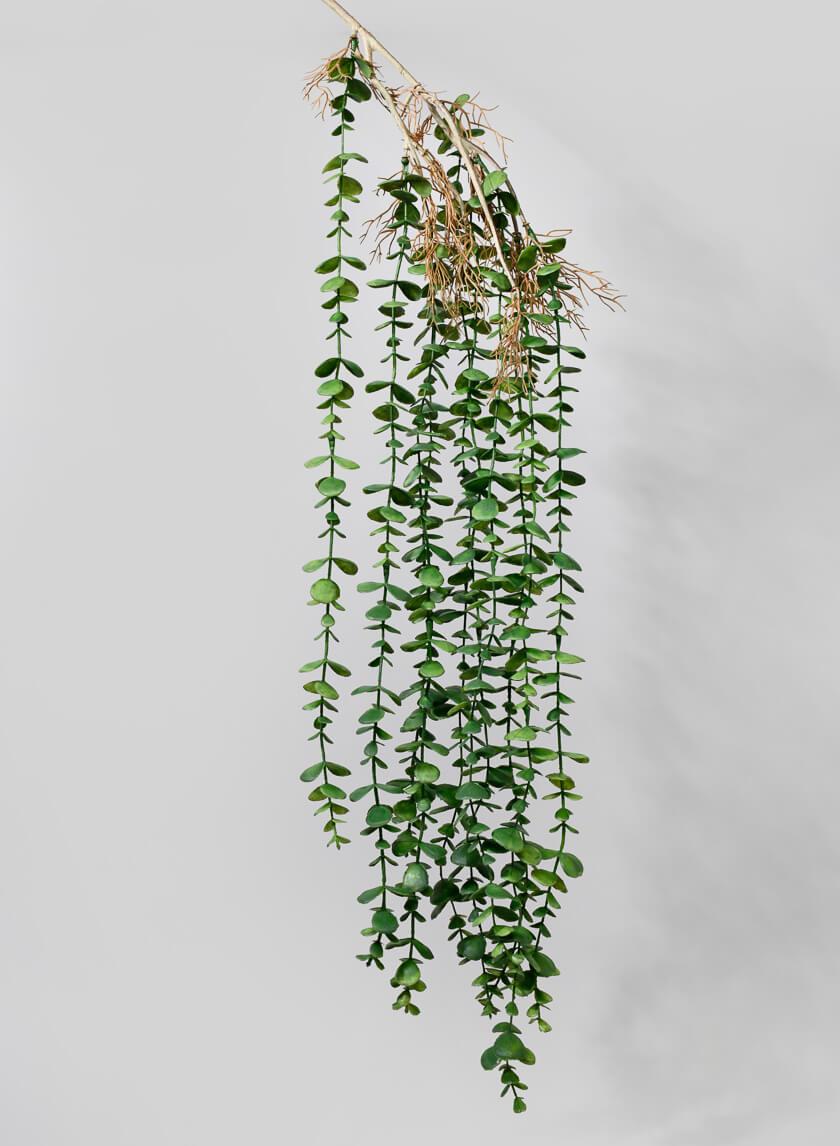 hanging eucalyptus plant real Artificial Eucalyptus Strands For Draping Floral Display Wedding Decor – Jamali Garden