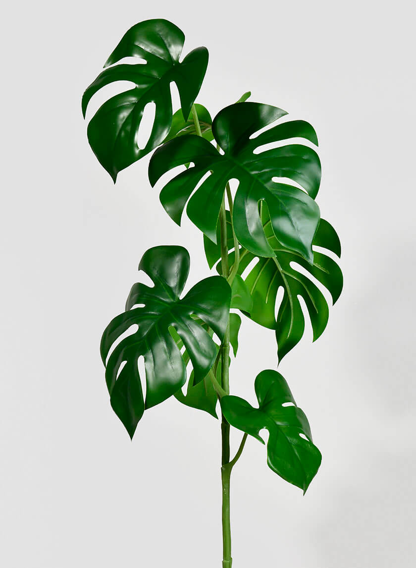 monstera leaves decor 28in Long Small Monstera Leaf Spray, Case of 12