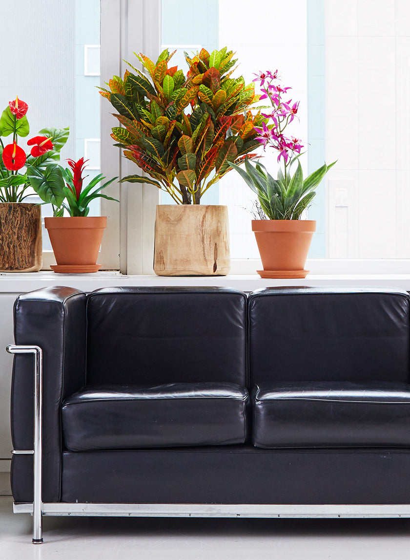 Standard Clay Pots Decor Jamali Garden