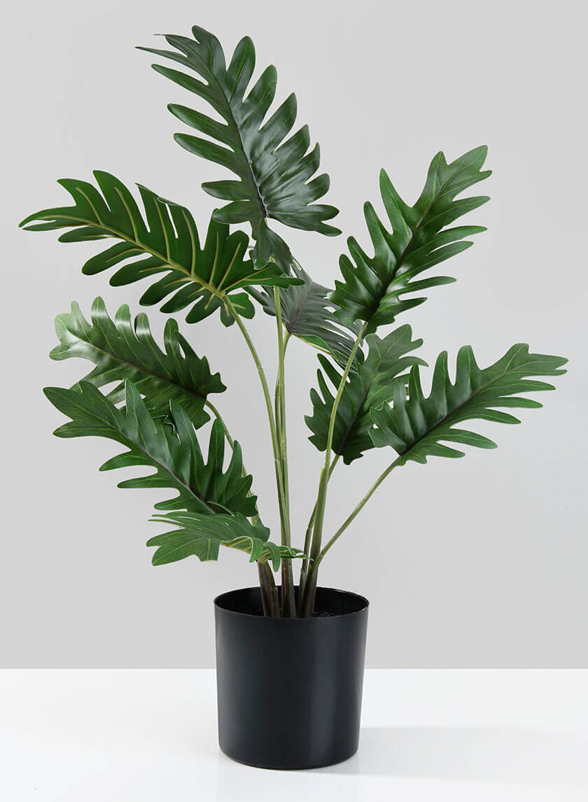 artificial philodendron tree Buy a Fake Potted Philodendron Online