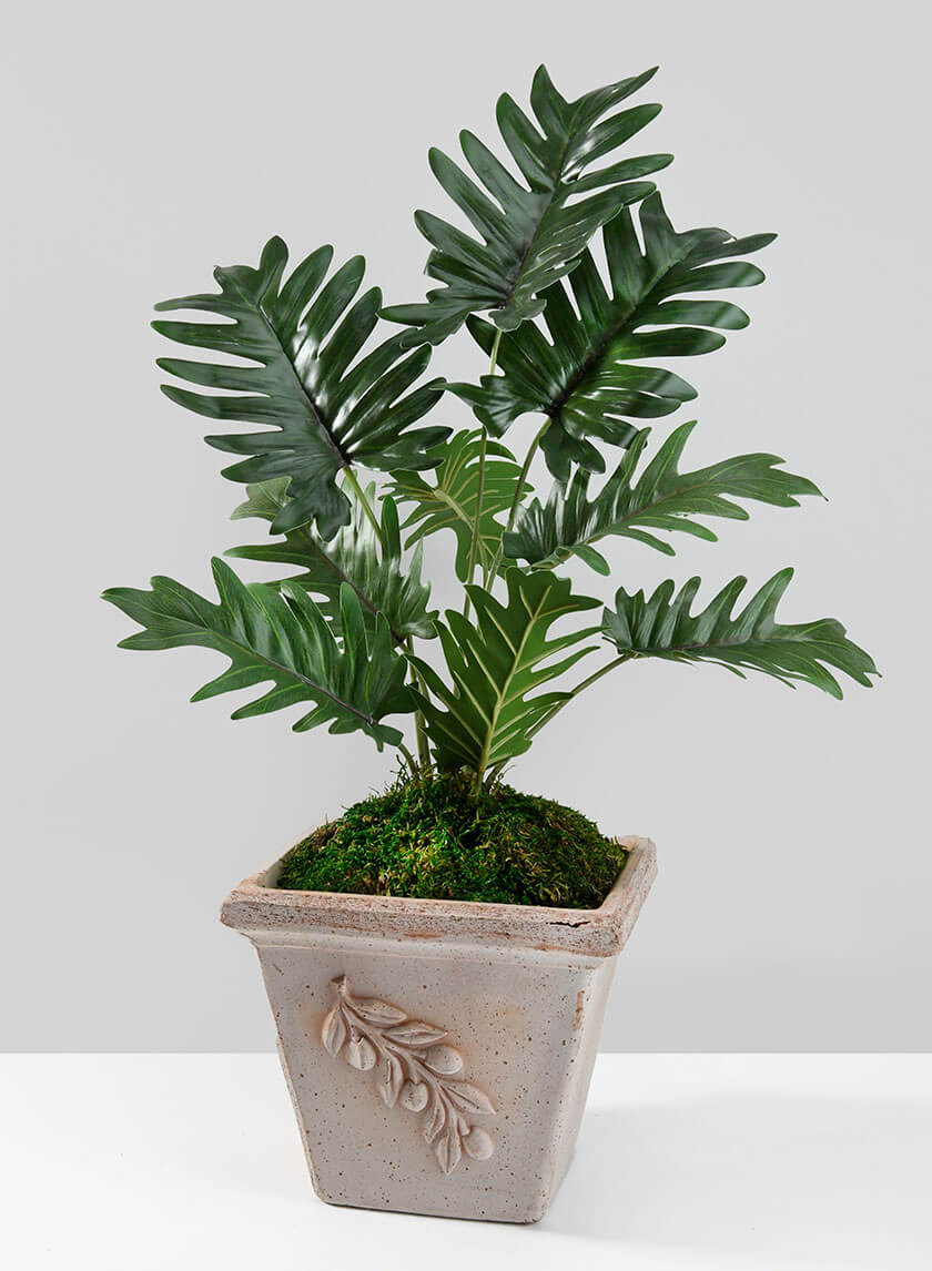 best faux philodendron 17in Tall Potted Philodendron