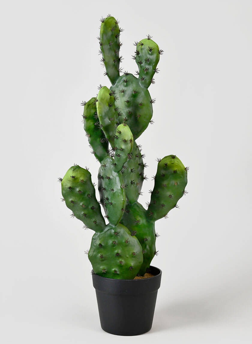 plastic cactus plant 27in Long Prickly Pear Cactus