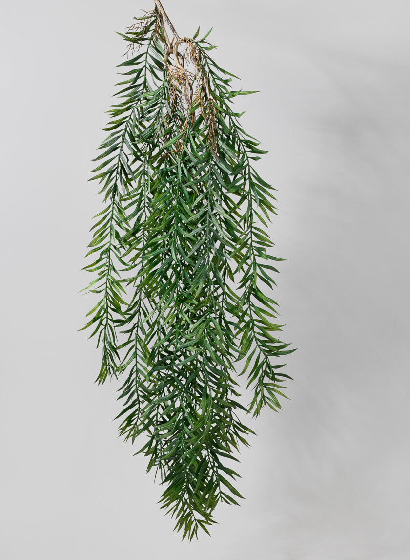 hanging rosemary plants 40in Long Rosemary Grass Hanging, Case of 12