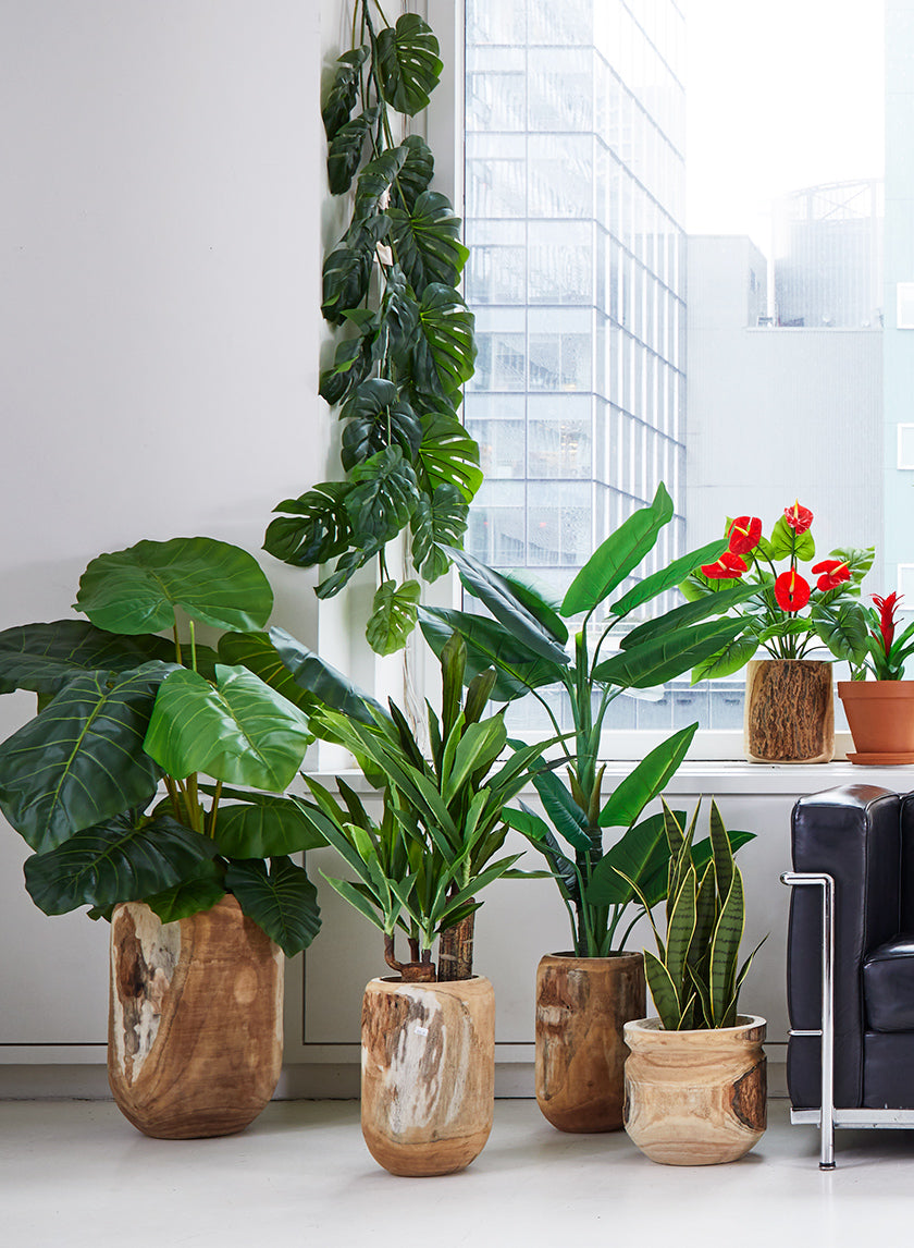big fake indoor plants 71in Monstera Leaf Vine