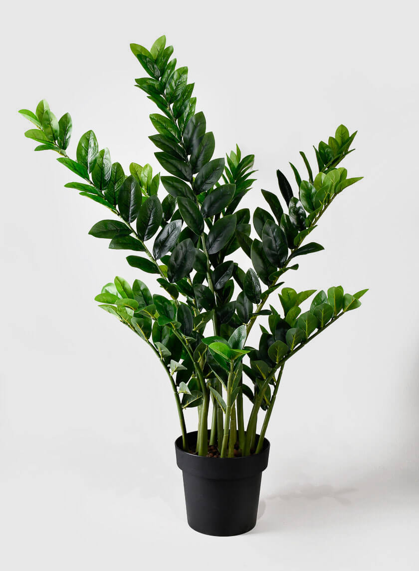 faux potted zz plant 42in Tall Zanzibar Plant