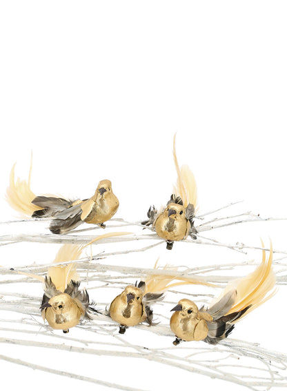 6in Long Gold Foil &amp; Feather Bird With Clip, Set of 12 Decor Jamali Garden