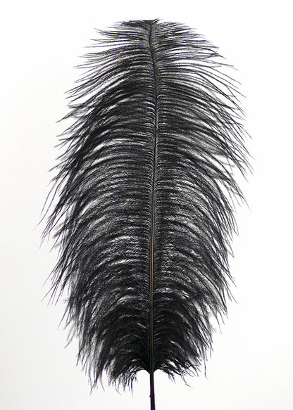 18 - 20in Long Black Ostrich Feather Decor Jamali Garden