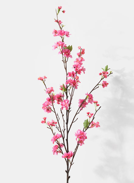 hot-pink-palace-cherry-blossom