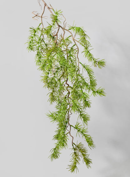 39in Long Larch Branch, Case of 12 Decor Jamali Garden