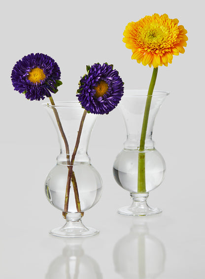 Clear Glass Trumpet Bud Vase Decor Jamali Garden