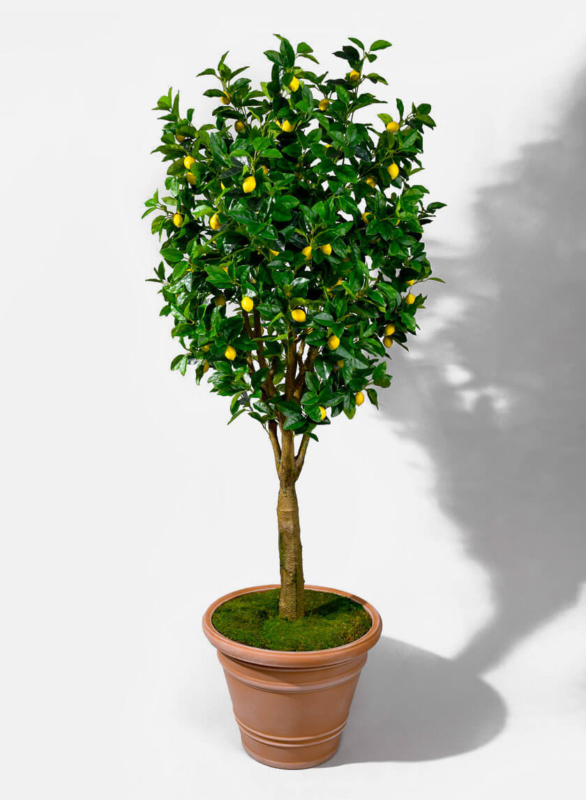 plastic garden plants for sale Vaso Pienza Impruneta Lightweight Resin Terracotta Round Plant Pot – Jamali Garden