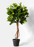 28in Long Lemon Tree Topiary Decor Jamali Garden