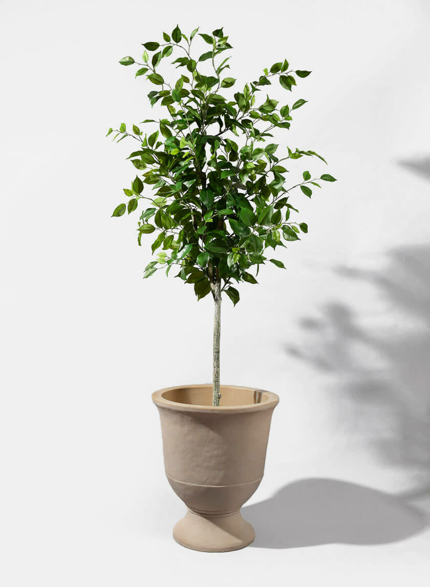artificial indoor plants trees 59in Tall Ficus Tree