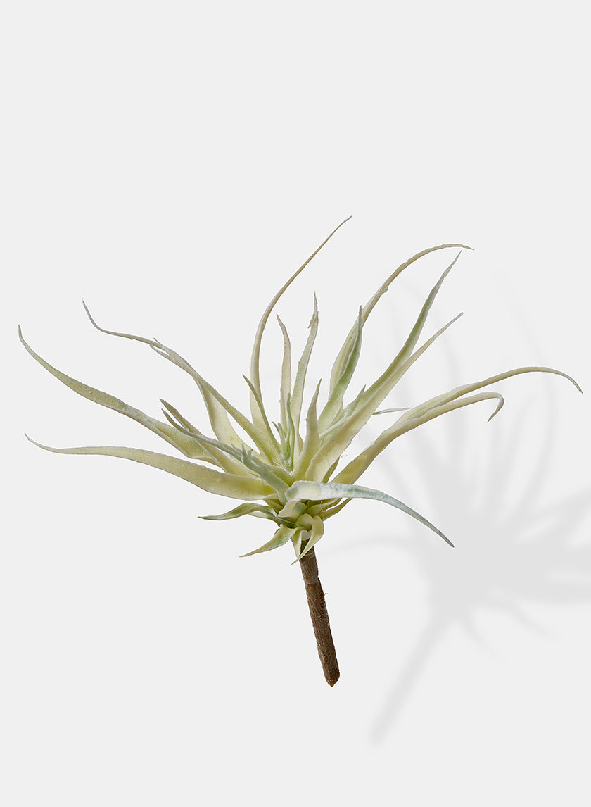 fake air plants 10in Long Mini Tillandsia, Case of 12