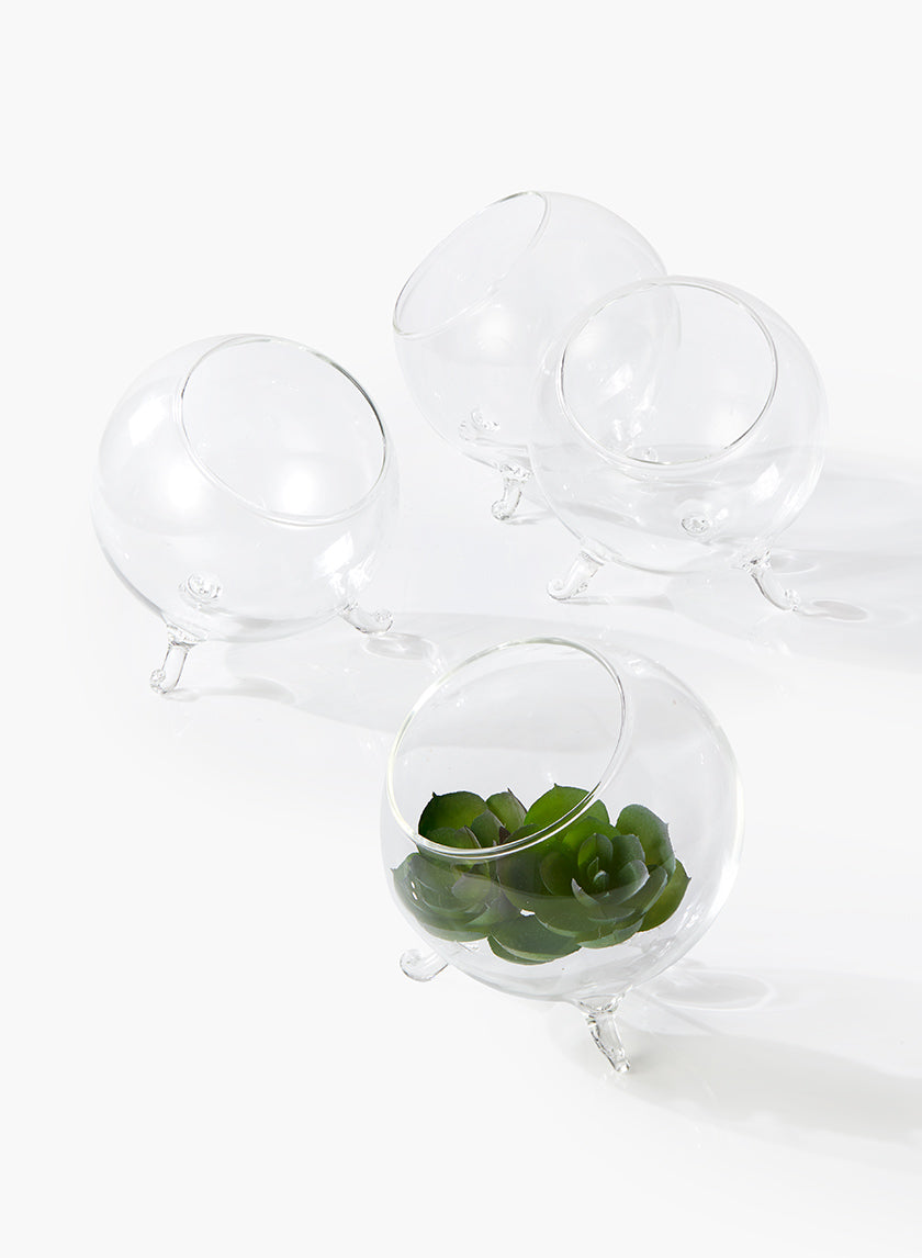 glass ball succulent 4in Wide Greenhouse Glass Bowl, Mini, Set of 4 – Jamali Garden