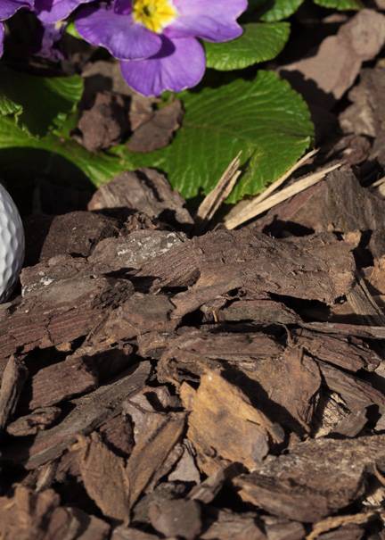 Timberline Pine Bark Nuggets 2cu ft Decor Jamali Garden