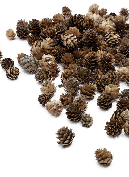 1in Long Natural Mini Pine Cones Decor Jamali Garden