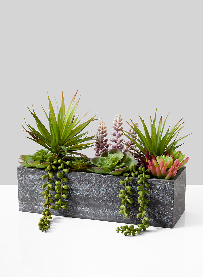 mixed succulents in pot 12in Long Rectangular Planter with Mixed Succulents