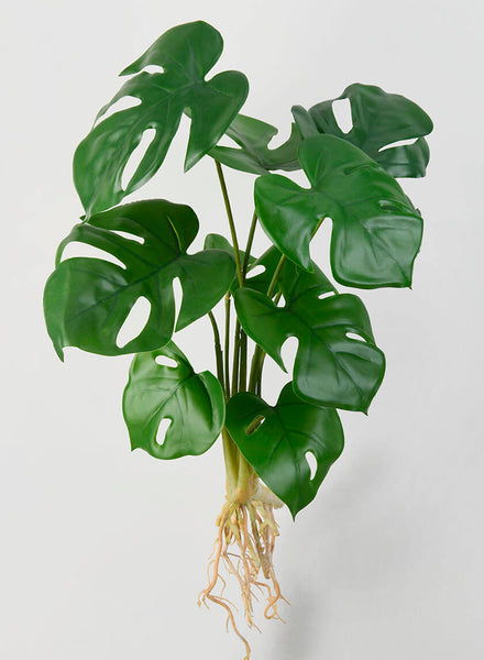 monstera magic plant Monstera Plant with Roots Artificial Tropical Leaf Shrub Home Decor – Jamali Garden