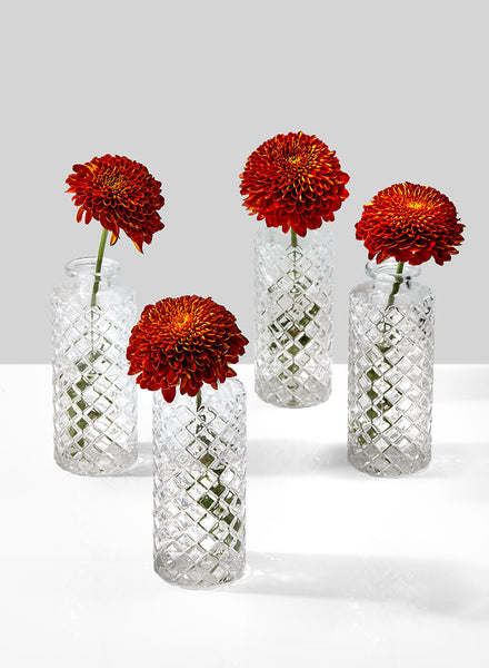 mums-fall-thankgiving-