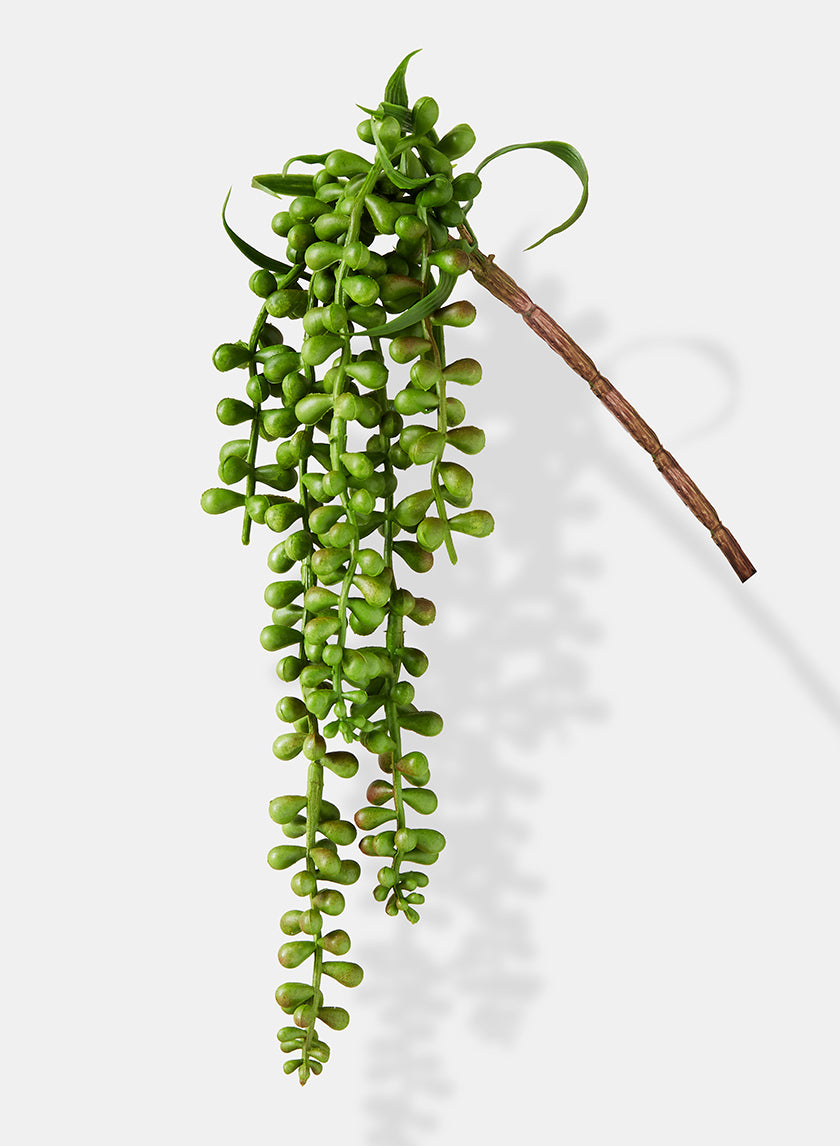 artificial trailing succulent plants 13in Long Burro's Tail Pick, Case of 12