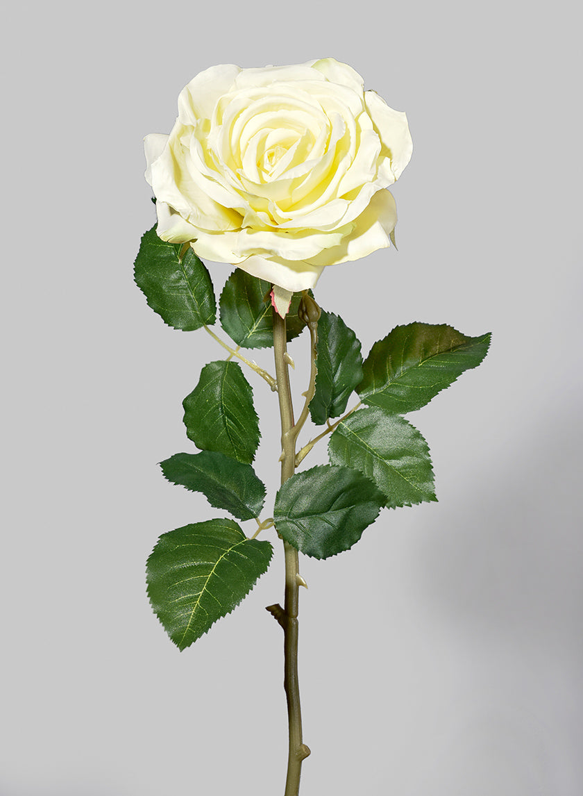 Cabbage Rose Lilac Austin Cabbage Roses, Light Purple Faux Real Touch