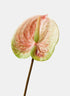 22in Long Peach & Green Anthurium Spray, Case of 24 Decor Jamali Garden