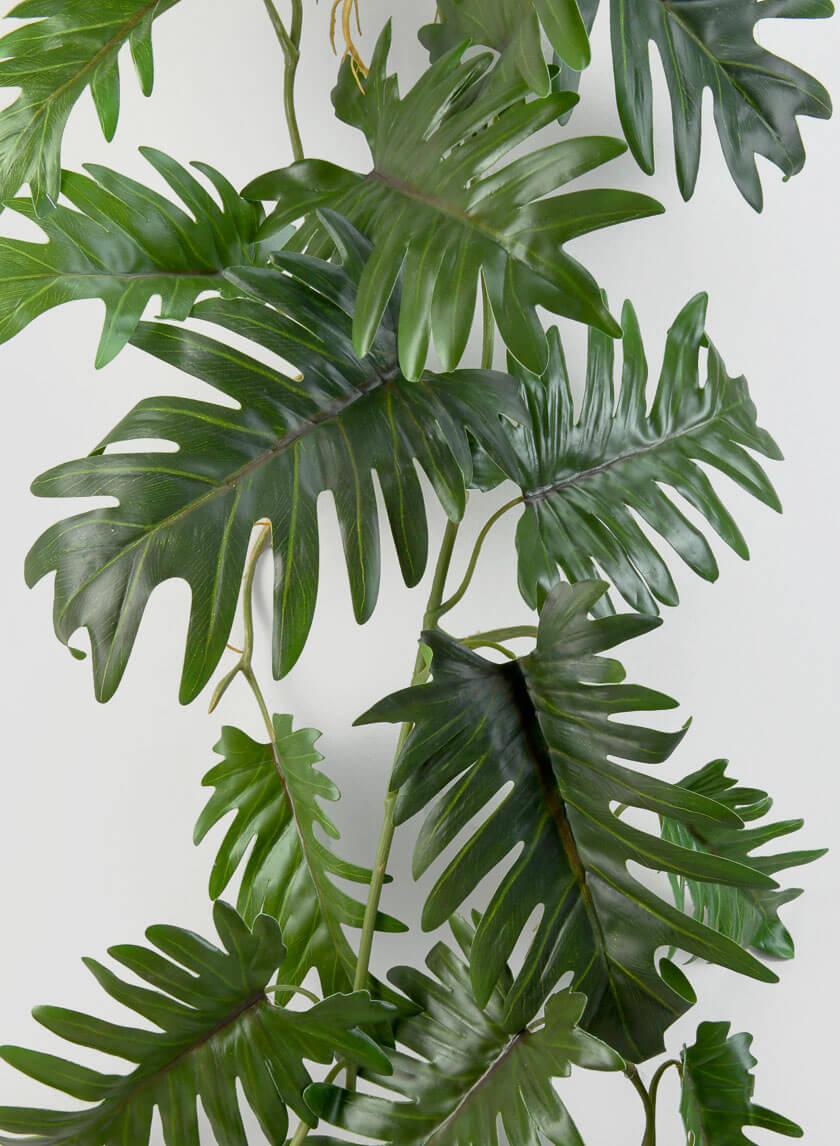 fake philodendrons 41in Long Philodendron Vine, Case of 12