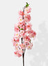 48in Long Pink Cherry Blossom Spray, Case of 12 Decor Jamali Garden
