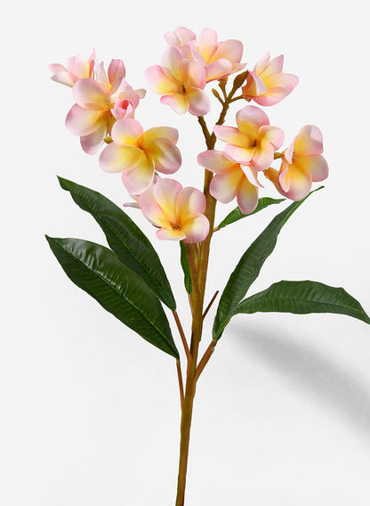 35in Long Pink Frangipani Spray, Case of 6 Decor Jamali Garden
