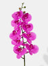 38in Long Pink Phalaenopsis Orchid Decor Jamali Garden