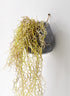 36in Tall Flocked Spanish Moss In Wall Pot Decor Jamali Garden